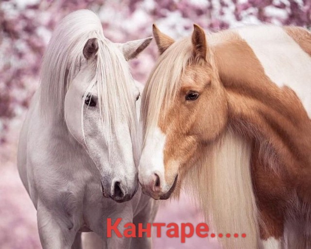 Сальваторе Кутуньо: Голос на все времена, ему бы исполнилось 80!