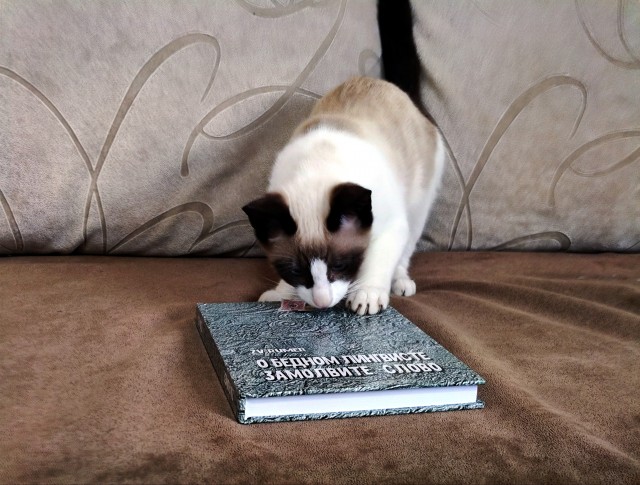 Книга ПОВЕСТИ