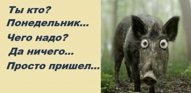На работу в понедельник.