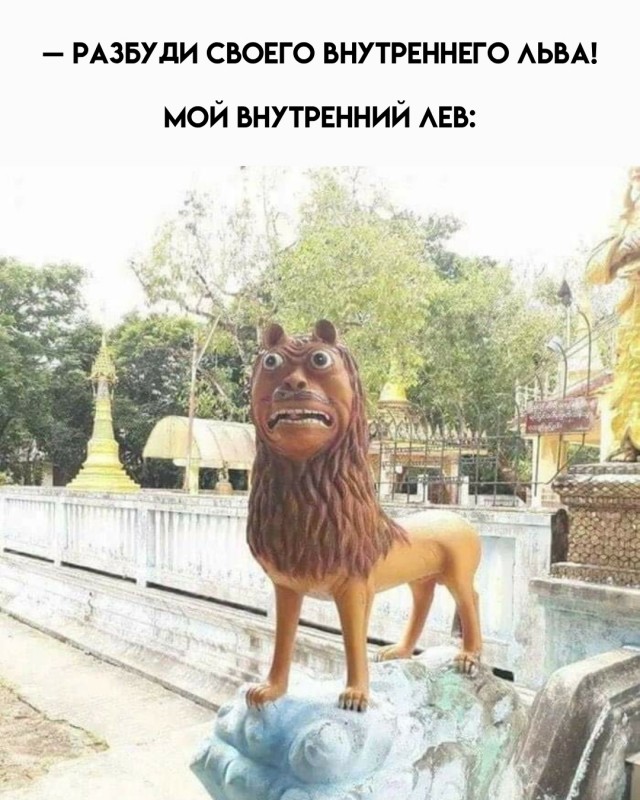 Картинки для деградации 55 (разной степени свежести)
