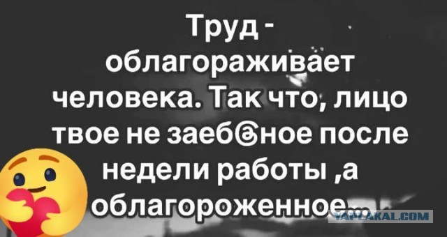 Картинки для деградации 56 (разной степени свежести)