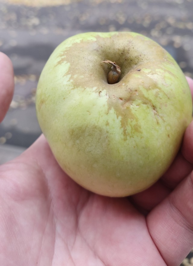 Зашёл на рынок