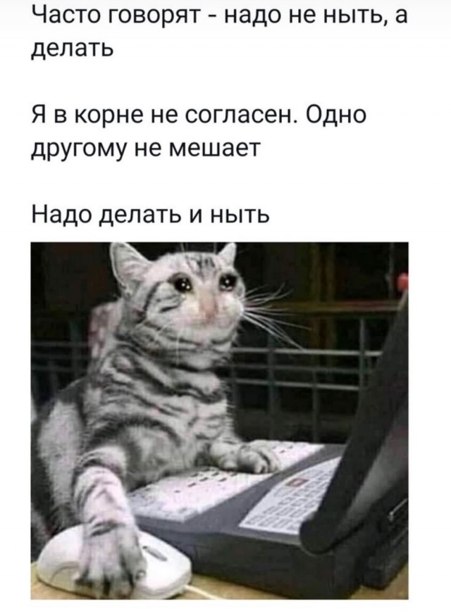 Пятница . Картинки