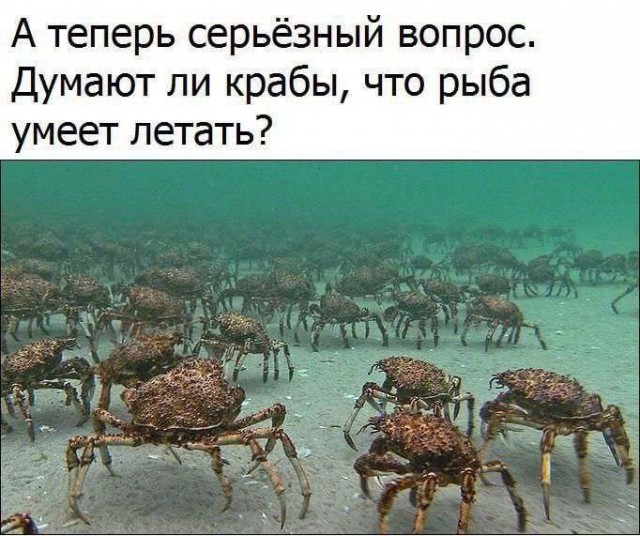 Картинки для деградации 131 (разной степени свежести)