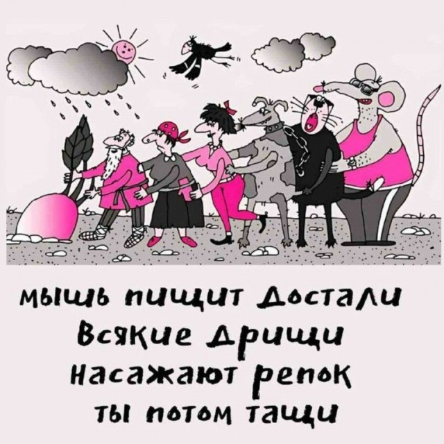 Тема дня