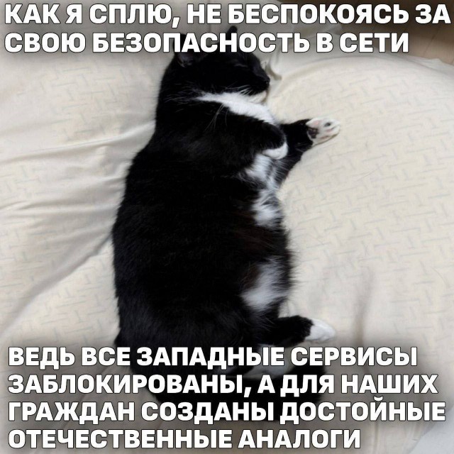 Картинки для деградации 167 (разной степени свежести)