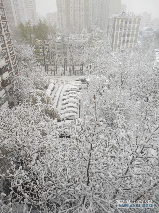 Апрелябрь, 27 утро.