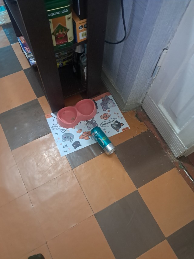 Лёлик проверяет тушенку.