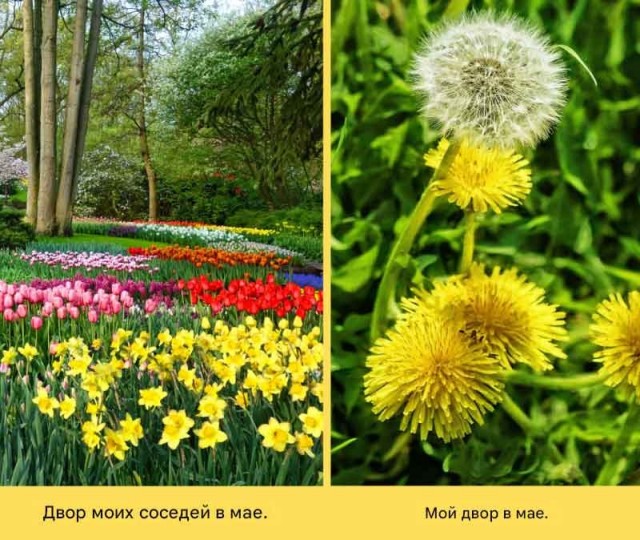 Весна в мемах