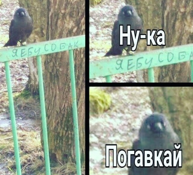 Дядь, дай огоньку