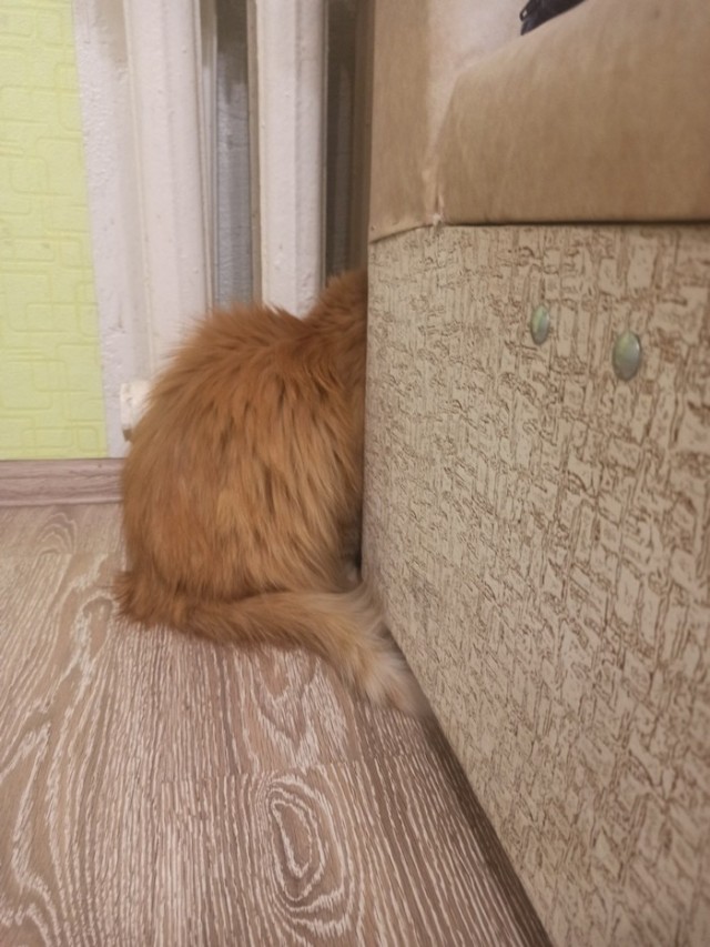 Фторняк?