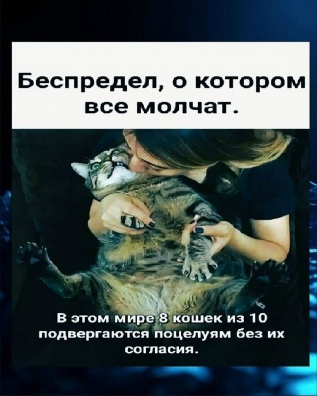Так себе картинки 12.06.26