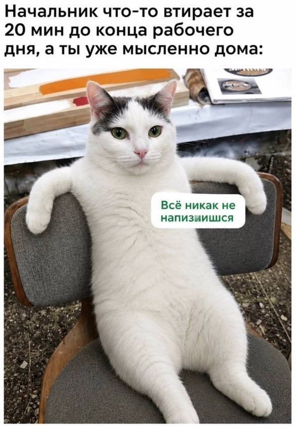 Подборка картинок-баянов с котиками и про котиков. Выпуск 45