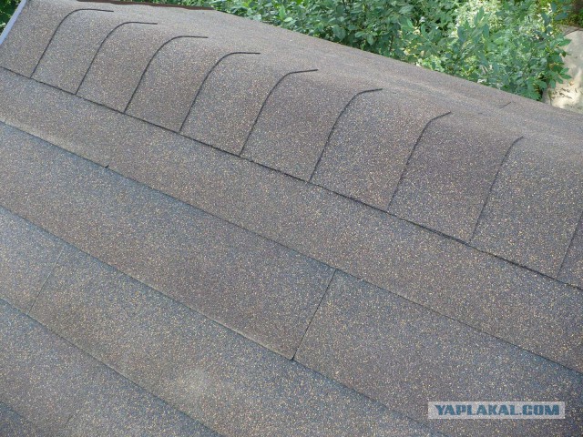 Как я запилил душ на даче