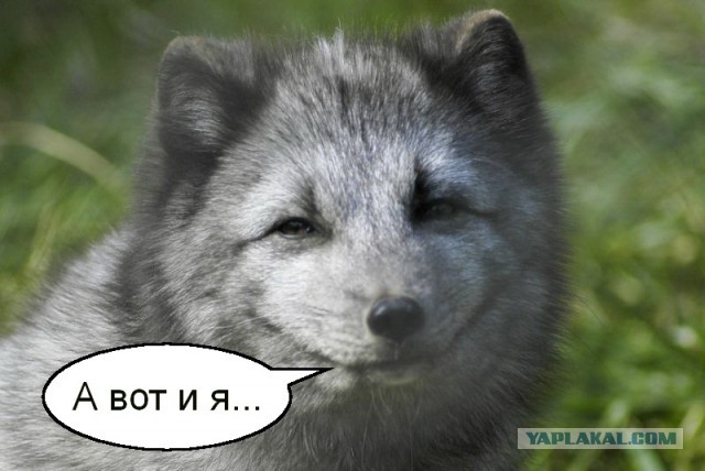 Я в полном шоке и страхе!
