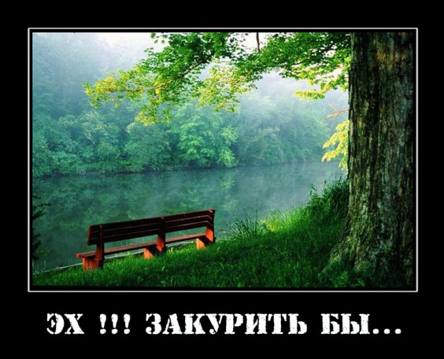 Что произойдет с вашим организмом,