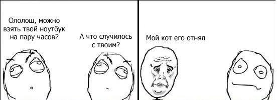Кот отнял...