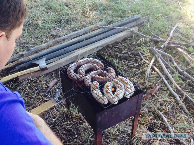 На сазана и на пикник одновременно