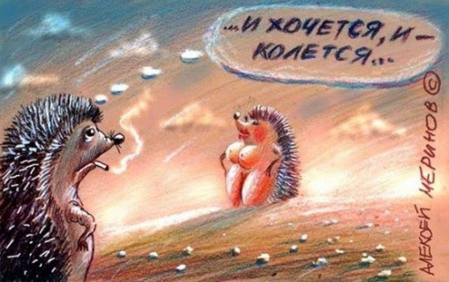 Картинки + гифки.