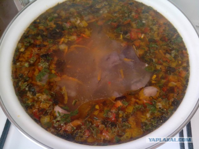 Неудачная рыбалка или нет худа без добра