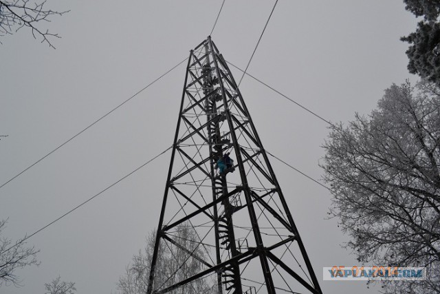 Я узнал, что у меня есть огромная семья