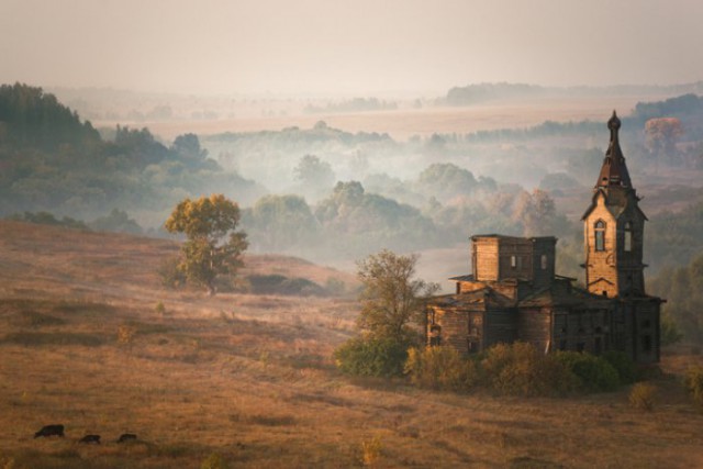 Картинки из сети