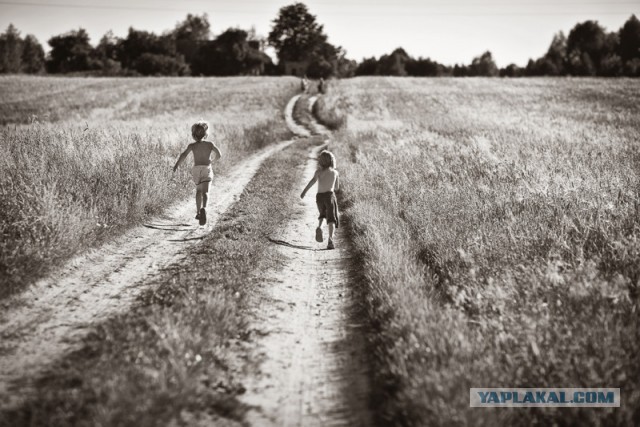 Вот оно какое наше лето!