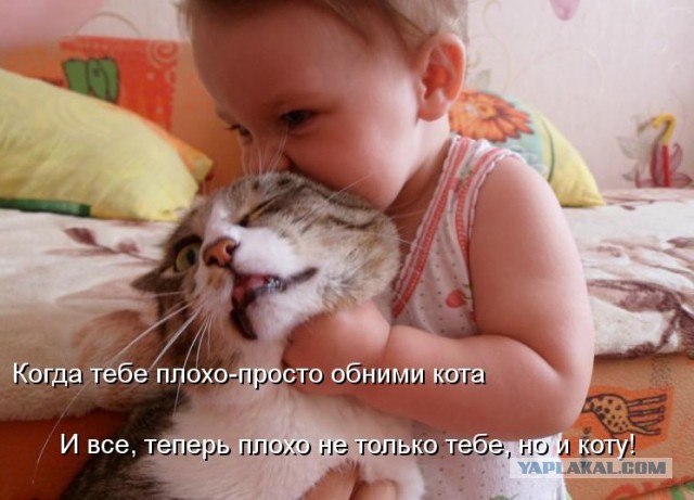 Спящие зверушки