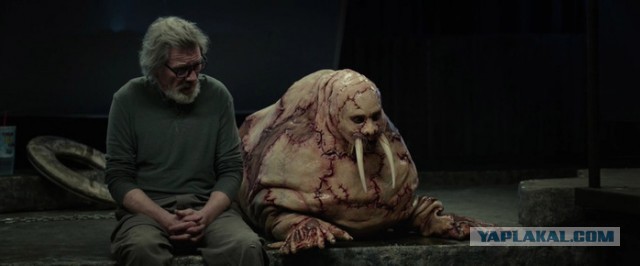 На американский берег выбросило русалку