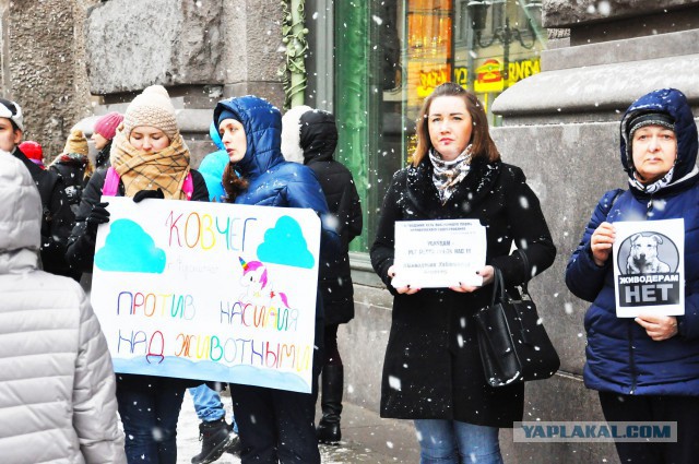 Питер против насилия