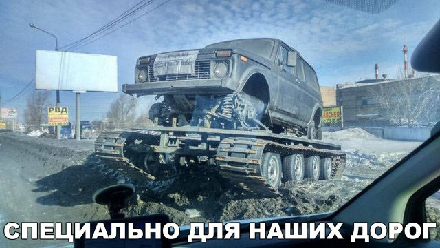 Подборка безудержного веселья