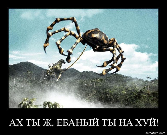 Паучка убили