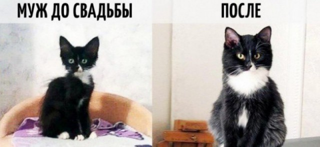 10 мужских наблюдений — женщина до замужества и после