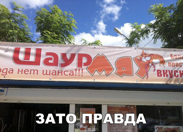 Прикольные картинки обо всём
