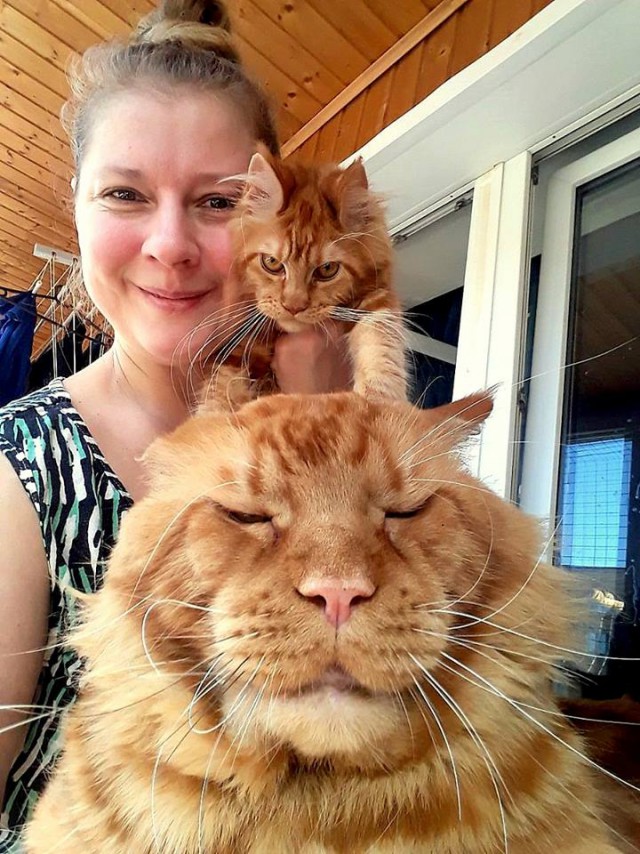 Котовторник  01.05.2018