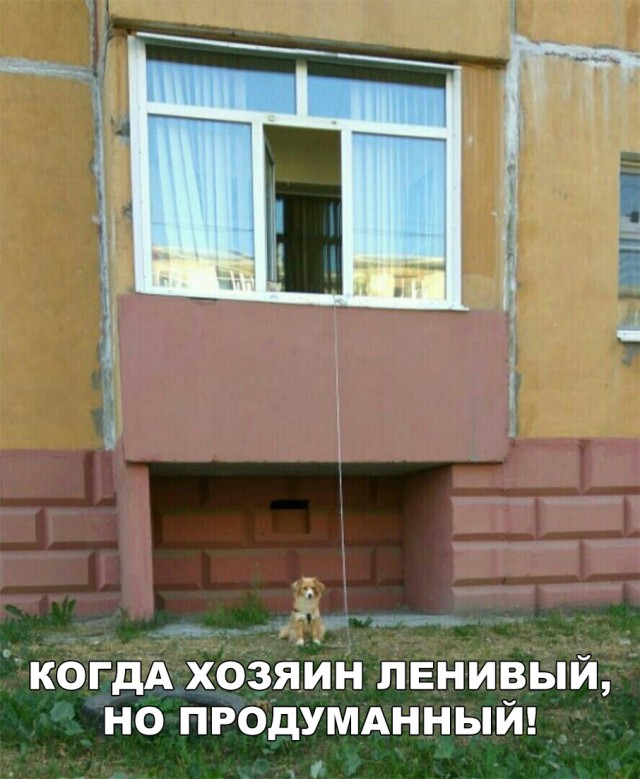 Прикольные картинки абавсём