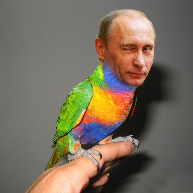 Видеоконференция Путина В.В