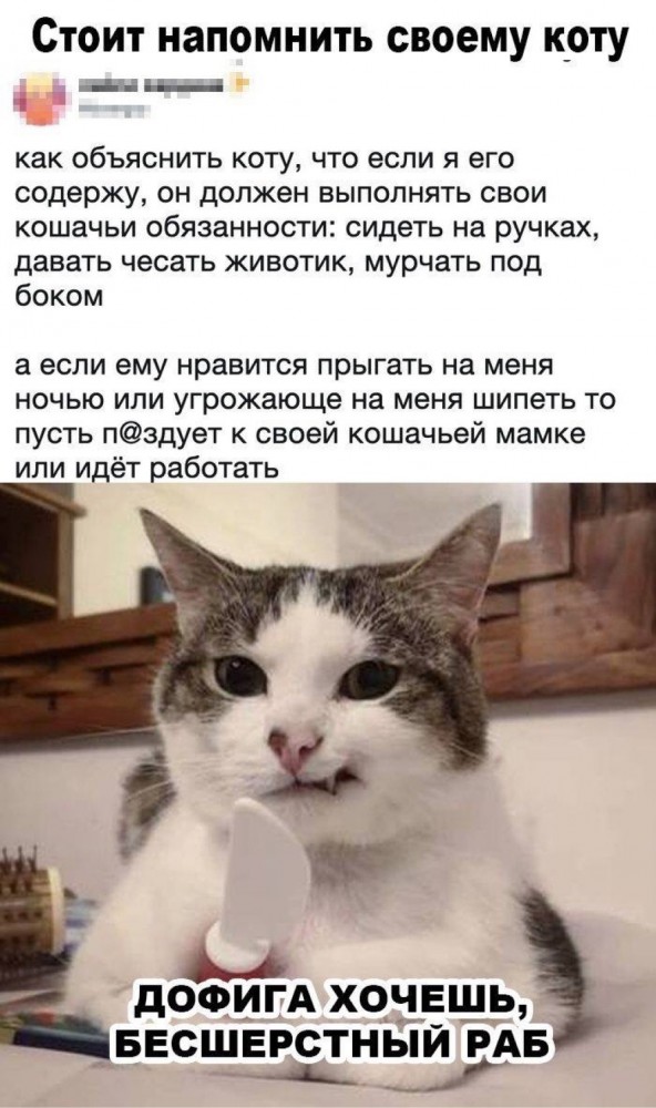 Бредзона 18.02.2020