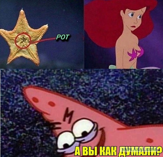 Морская звезда