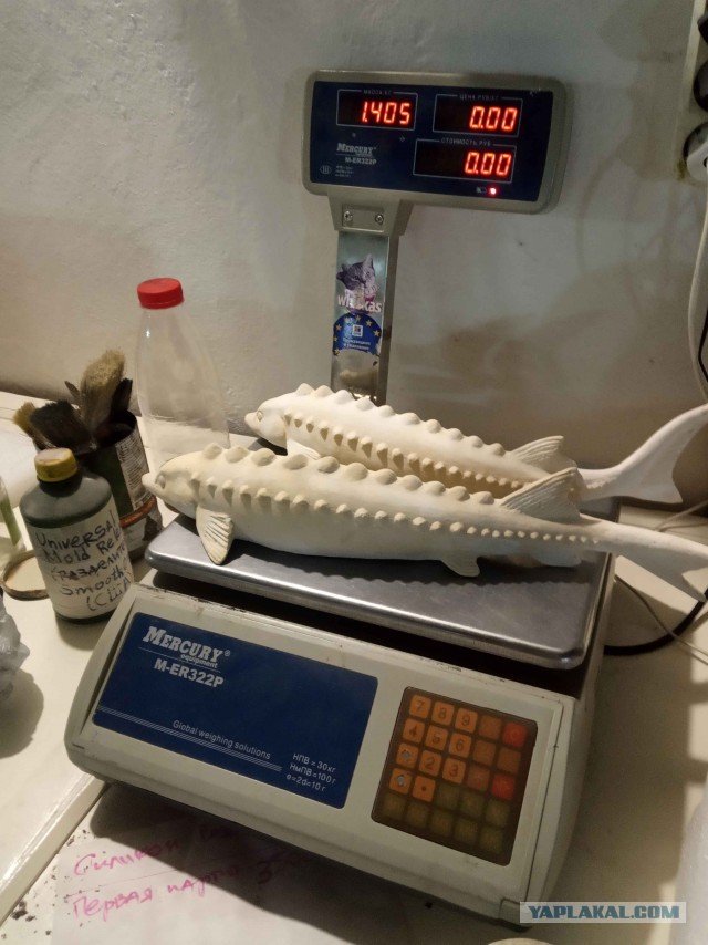 Изготовление декоративного панно "Осетровые"