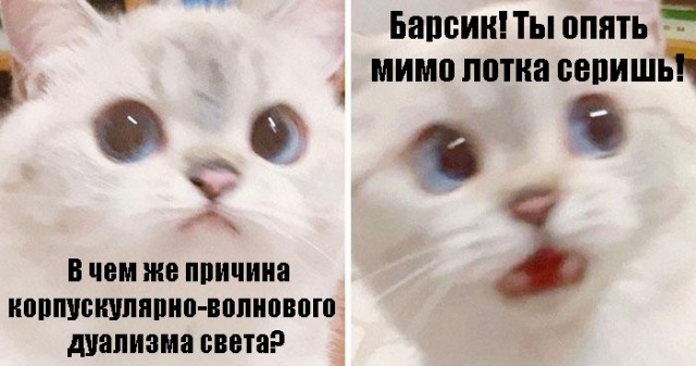Юмор в картинках 23.07.20