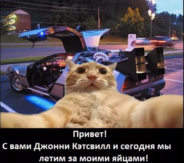 Приключения Джонни Кэтсвилла