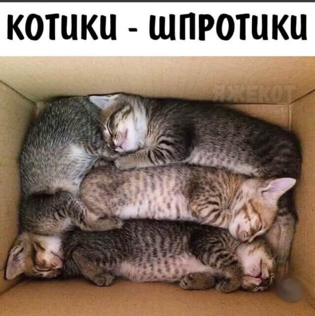 Картинки всякие, 27.08.2020