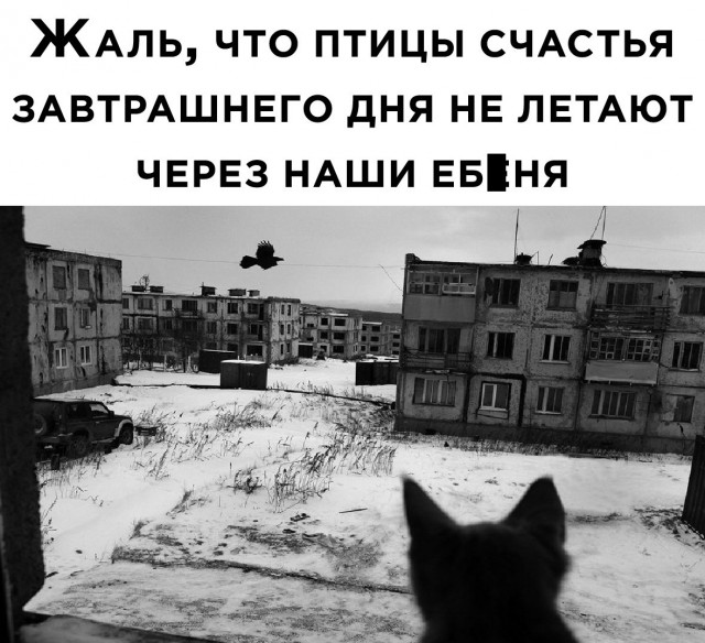 Баянисто-небаянистый юмор. 22.09.20