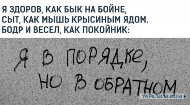 Немного картинок для настроения 06.11.20