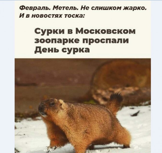 Картинки и мемы для настроения 015