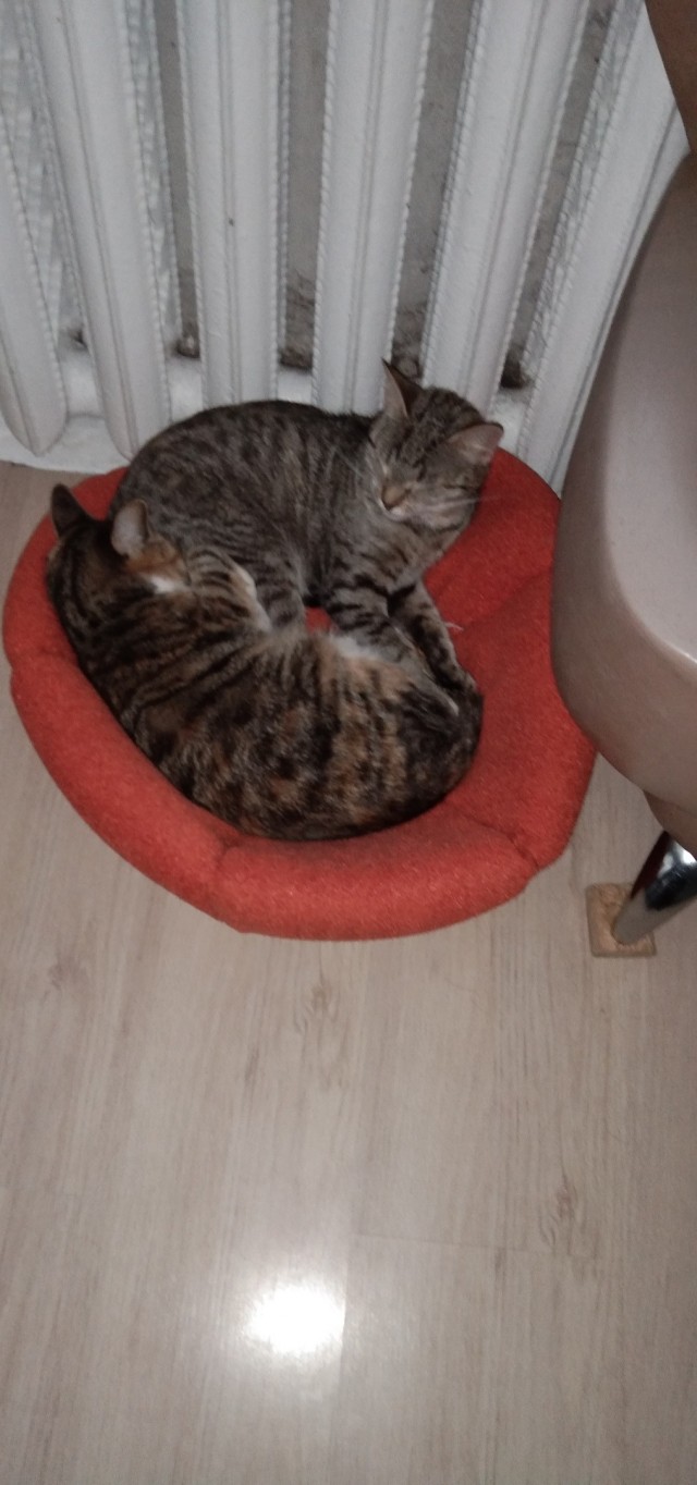 Добрые картинки 28.11.20