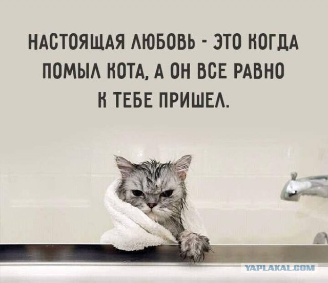 Так себе картинки 13.03.21