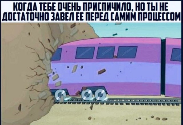 Весёлый полтишок 25.05