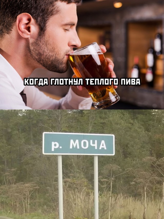 Кретинизмы из сети 18.08.2021